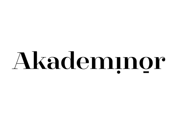Akademinör Sanat